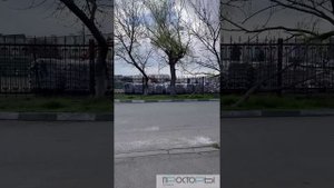 О поселке Приморский