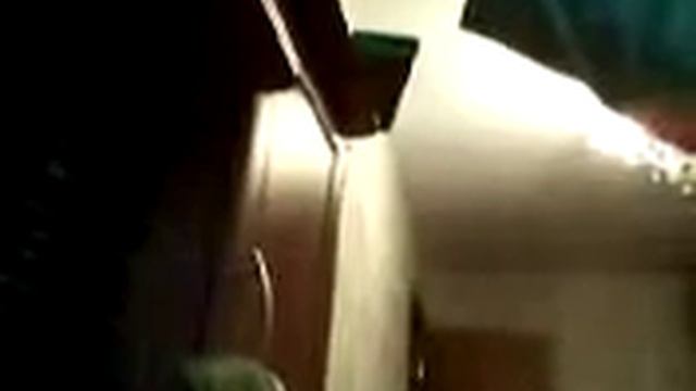 Падение пет шопа золла смотреть онлайн