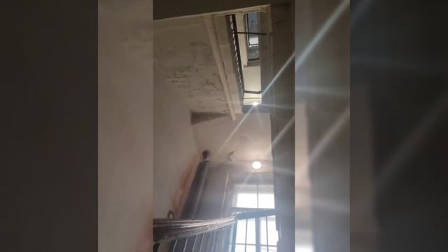 #поход в #шоурумспб на невском #невский #like #follow #fyr #куртка #ретро смотреть онлайн