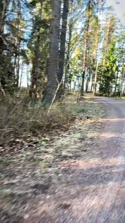 Мечты сбываются