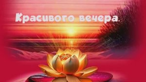 Добрый вечер.