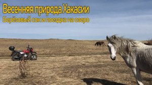 Спокойная деревенская жизнь. Весна, природа оживает. Съездил на природу, набрал берёзовый сок.