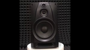Sony SS-H771 после модернизации