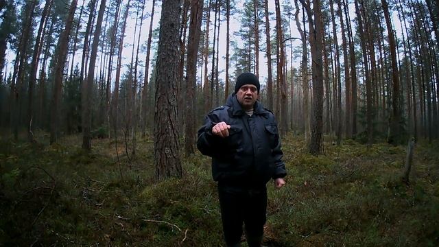 Нужен ли Тик Ток,?? когда есть ютуб, Тик ток & Ютуб, Разговор по теме, смотреть онлайн