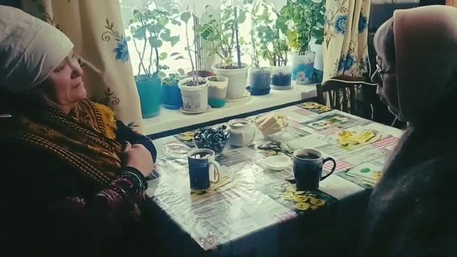 349z. Киверина Елена Евгеньевна, Цветкова Наталия Борисовна рп Пижма - Вдовы смотреть онлайн