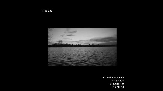 Surf Curse - Freaks(TIAGO Techno Remix) смотреть онлайн