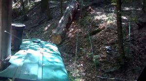 forest_jumz