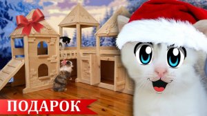 ИДЕАЛЬНЫЙ ПОДАРОК на НОВЫЙ ГОД для ЖИВОТНЫХ ! 24 ЧАСА в КОМНАТЕ с КОТАМИ | А ну-ка давай-ка