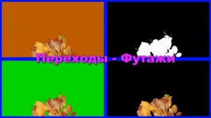 Осенние листья (8 шт) Переходы-Футажи 1080р по 5 сек | Transition-Footage