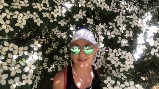 ♥️ВСТРЕТИЛА МУЖЧИНУ СВОЕЙ МЕЧТЫ‼️🔴СУДЬБАНОСНАЯ ВСТРЕЧА НАШЛА СЕБЕ ПАРУ смотреть онлайн