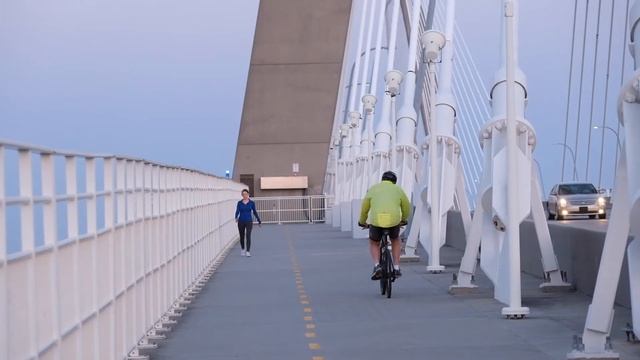 Explore Charleston's History & Natural Beauty With These 5 Free Things To Do | Lively Charleston