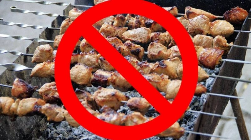 Что будет, если дрон увидит шашлыки в саду