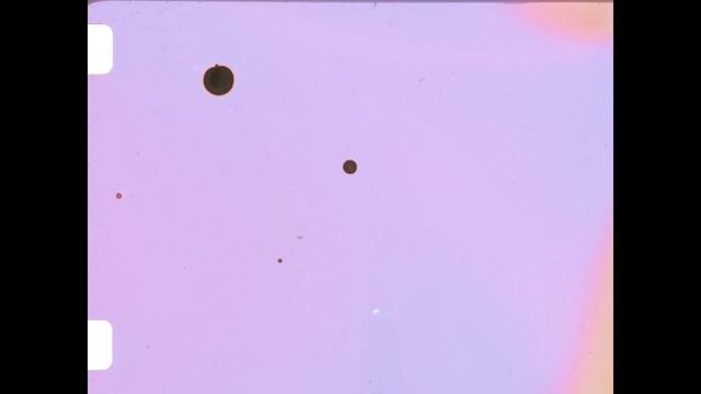 Phytograms 1 смотреть онлайн