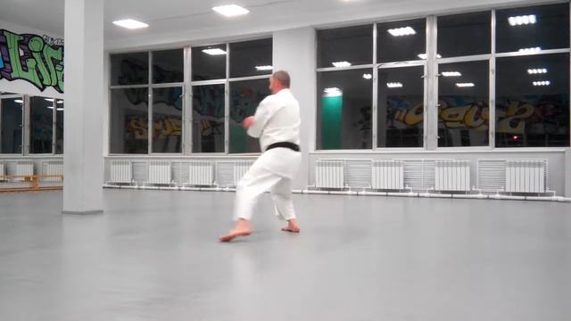 ката чинтэ Гриценко А.А. смотреть онлайн