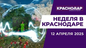 Неделя в Краснодаре 12.04.2025: Реконструкция Тургеневского моста, игра «красная и желтая дверь»
