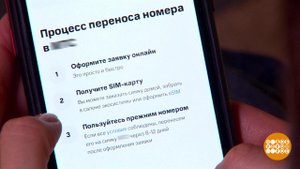 Как сменить мобильного оператора. Доброе утро. Фрагмент выпуска от 14.04.2025