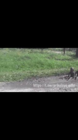 Вот оно счастливое детство)