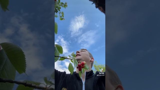 Мелитопольская черешня для всей России❤️💪🇷🇺