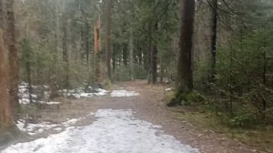 Прогулочка