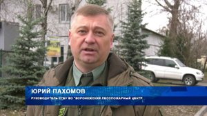 С 15 апреля в Воронежской области вводится особый противопожарный режим