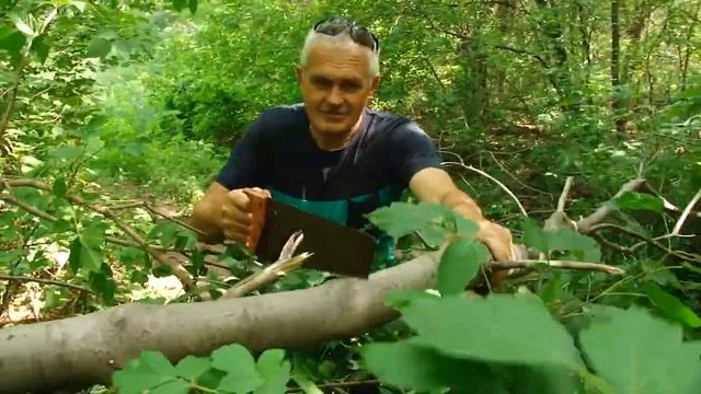 Один день.Охотовед смотреть онлайн