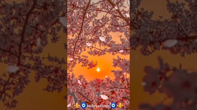 ❤️КрАсИвАя ПеСня❤️