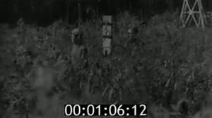 Юные пограничники  1965   1969