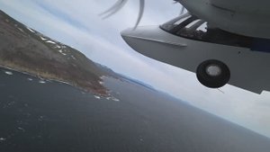 побережье Охотского моря нерестовая сельдь 2019