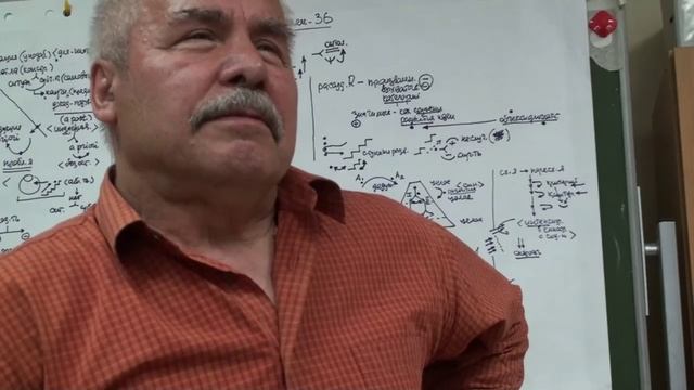 Анисимов О.С. Лекция 36. Философия духа. Дедуктивность мышления. Конструирование абстракций.