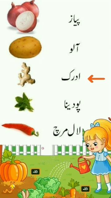 Vegetables names in urdu |sabjion k names in urdu and hindi #urdu смотреть онлайн