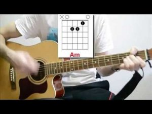 Сектор Газа - Казачья. Аккорды, бой, на гитаре