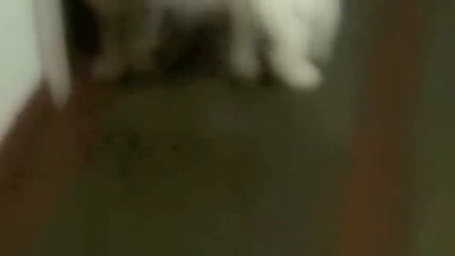 Acacia e Pink смотреть онлайн