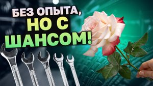 Как флористу без опыта попасть в бизнес?