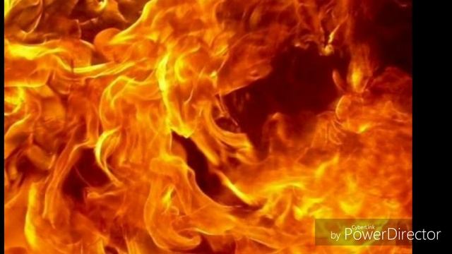 Цветы под снегом ! смотреть онлайн