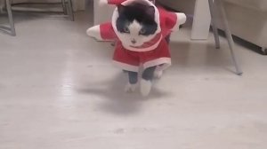 Новый год закончился, а праздник в душе нет!