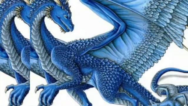 Коты-Воители в виде драконов смотреть онлайн