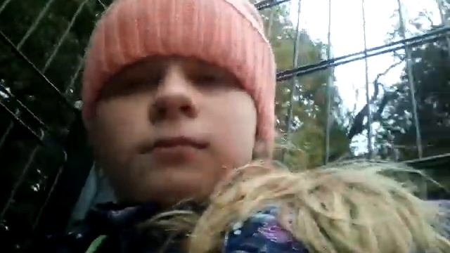 Мы бы хотели чтобы вы подписались на наш канал поставить лайк нажать на колокольчик смотреть онлайн