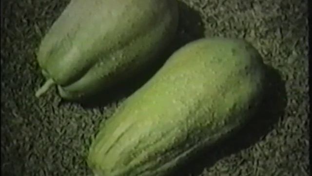 ECHO Tropical Fruits Video Series - Mangoes, Papaya & Coconut (Part 5 of 6)