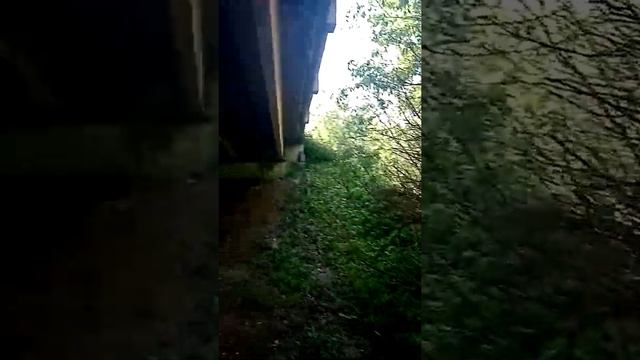 Завтра буду кидать могнит🕺🕺🕺 смотреть онлайн