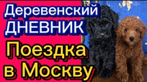 ДЕРЕВЕНСКИЙ ДНЕВНИК ОЧЕНЬ МНОГОДЕТНОЙ МАМЫ. "Поездка в Москву"