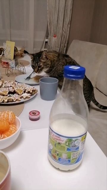 Диета
