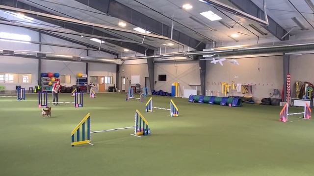 Wk 106 Speedstakes 2 🥴 смотреть онлайн