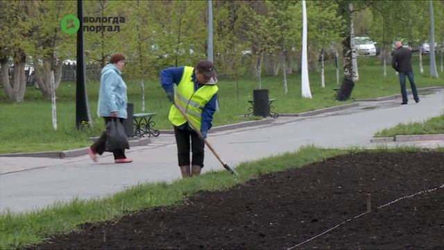 В Вологде начали оформлять цветник на проспекте Победы смотреть онлайн