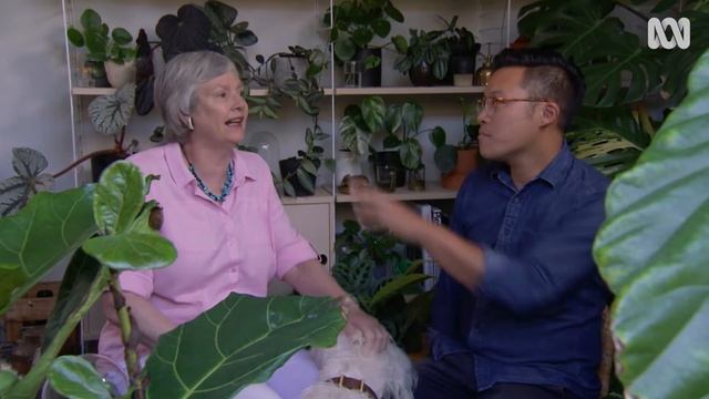 Jason Chongue's plant-filled home