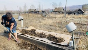 Делаю теплую грядку,а вечером банька.Массаж для собаки