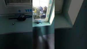 Подшивка гипсокартона на плавающий каркас 2й день