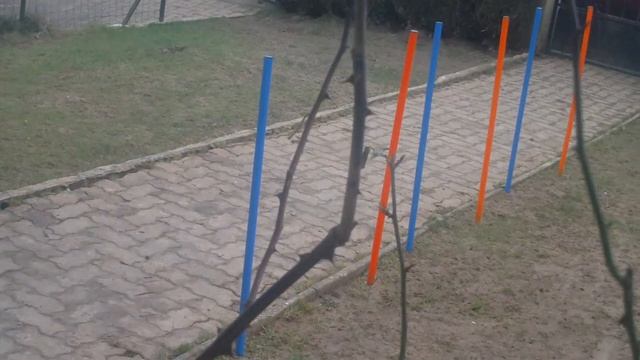 salom 6 piquets 004 смотреть онлайн