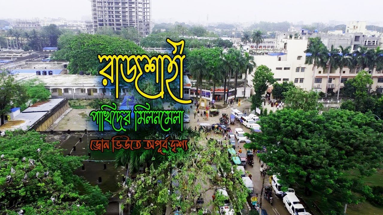 পাখিদের মিলনমেলা | রাজশাহী মেডিকেল কলেজ হাসপাতাল | ড্রোন ভিউতে অপূর্ব দৃশ্য