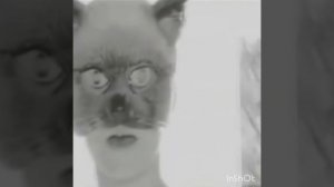 Россини "Дуэт Кошек". Хор мальчиков Либера ( Мяу!!! )