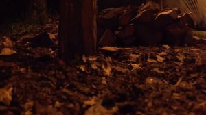 XAKAH  Fishing, Catch and Cook. Building a Bushcraft Shelter & Fireplace.1